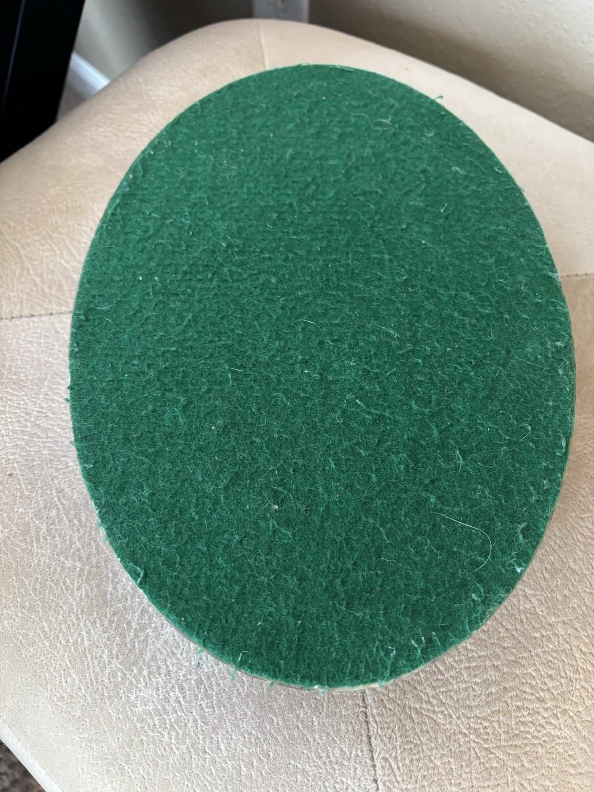 Diamondback Rattlesnake In resin lucite