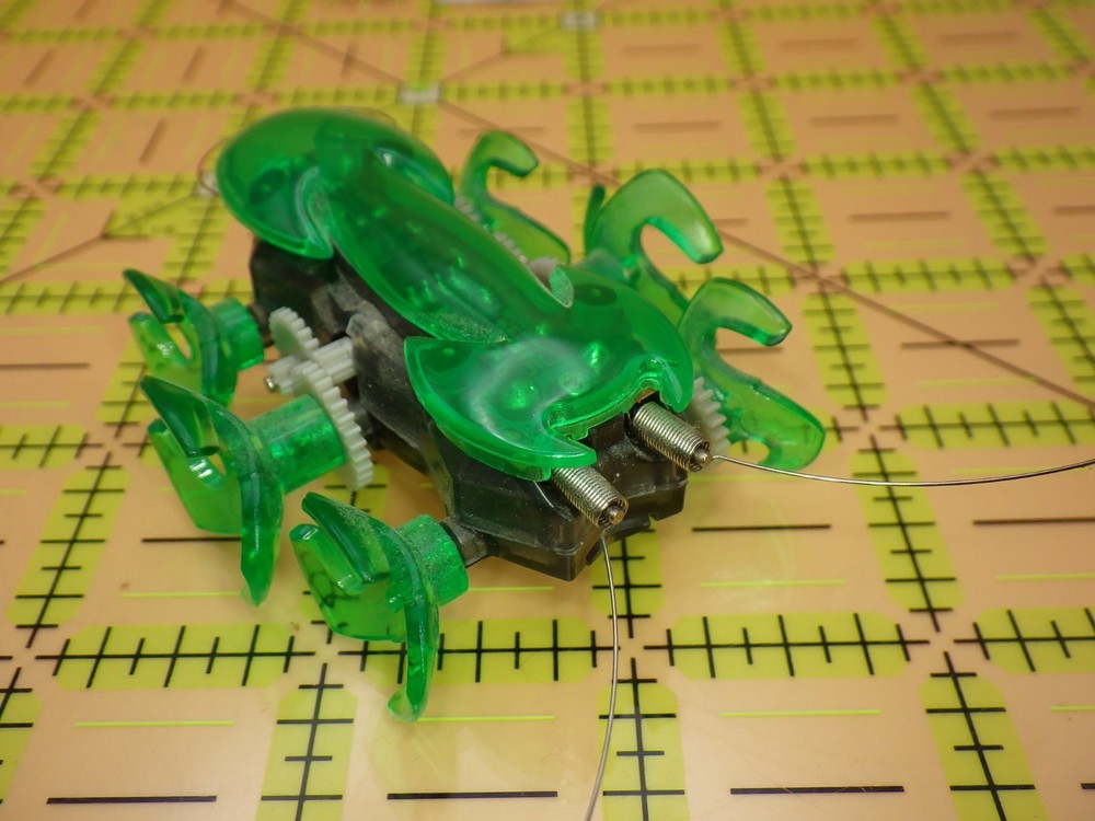 HEXBUG Micro Robotic Spider Green Translucent Crawling Toy - Working