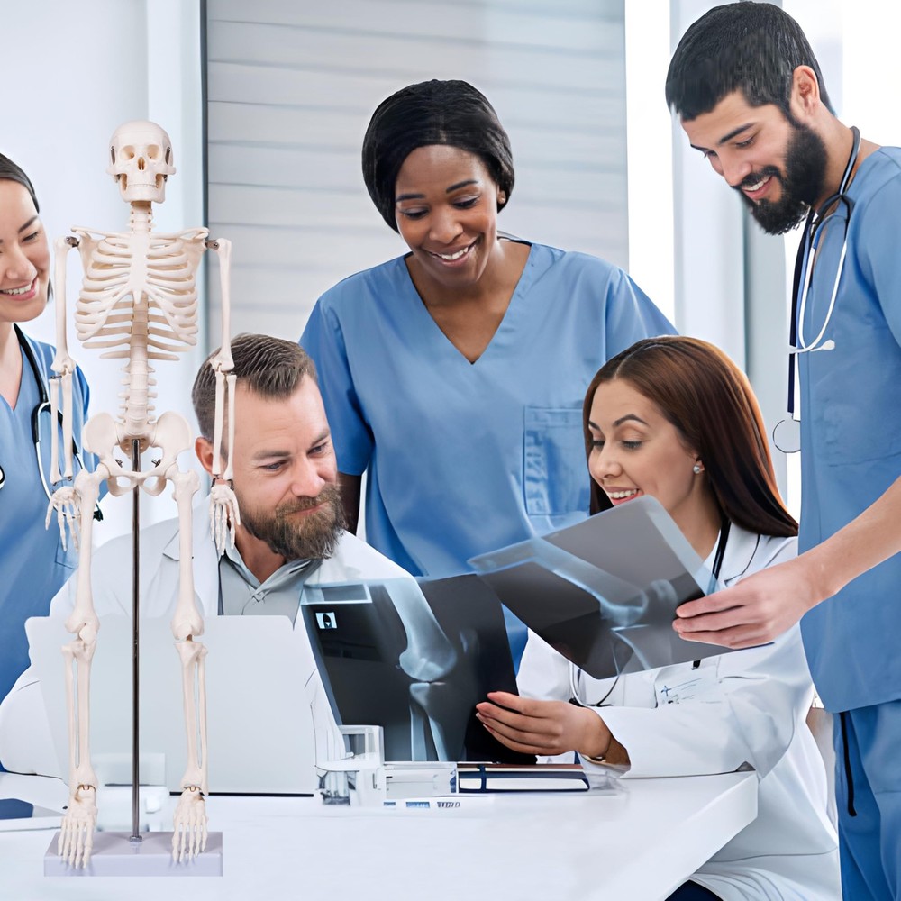 33.4" Human Skeleton Model with Stand, Removable Limbs, Anatomy Study Tool