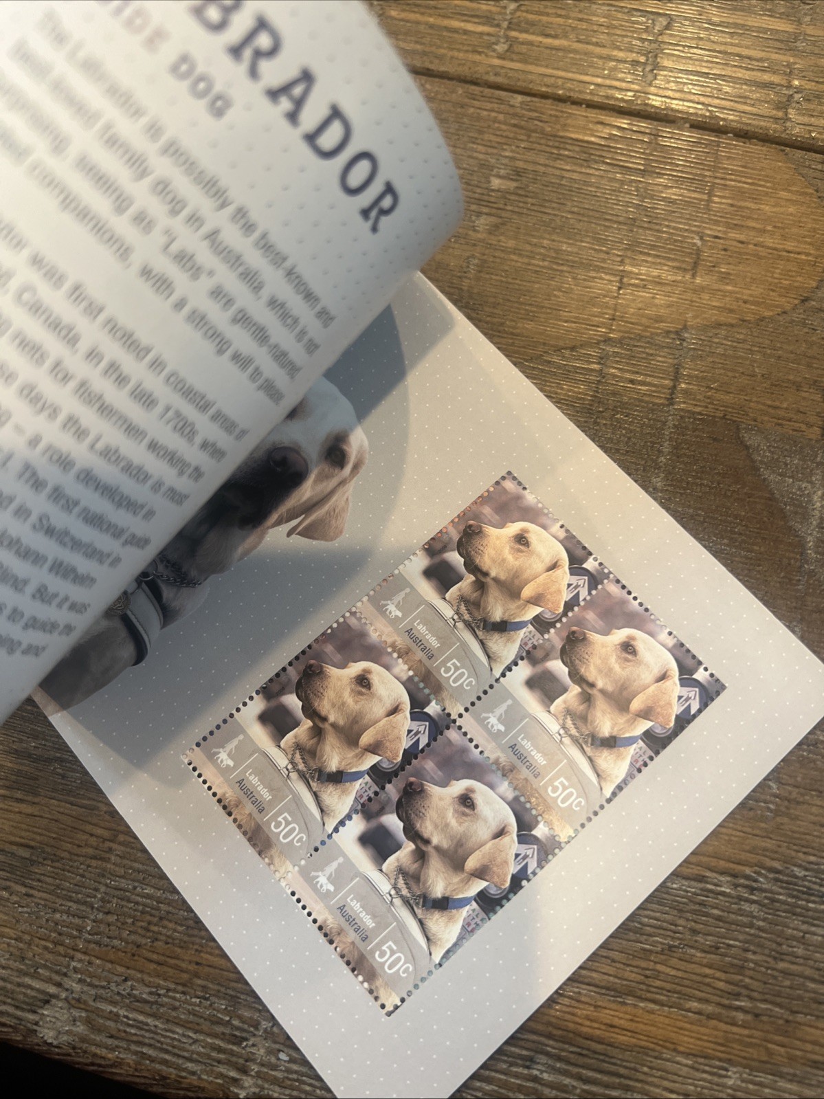 Lot Of 6: Australia Prestige: Dogs, Dangerous Aussies, Wallabies, Birds, Etc.