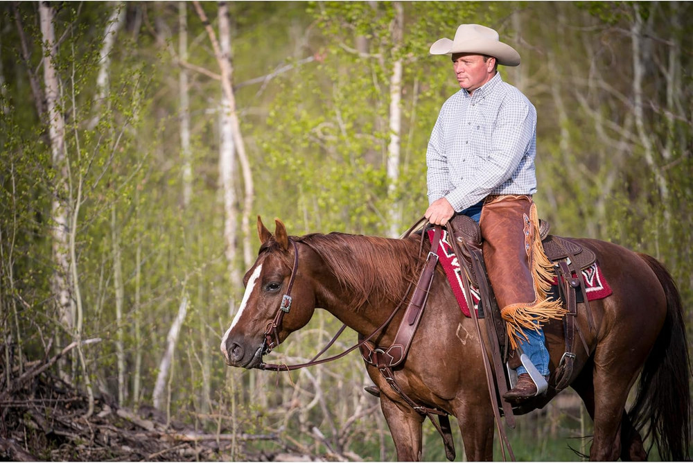 Professional Thin Style Shank Bit, 5