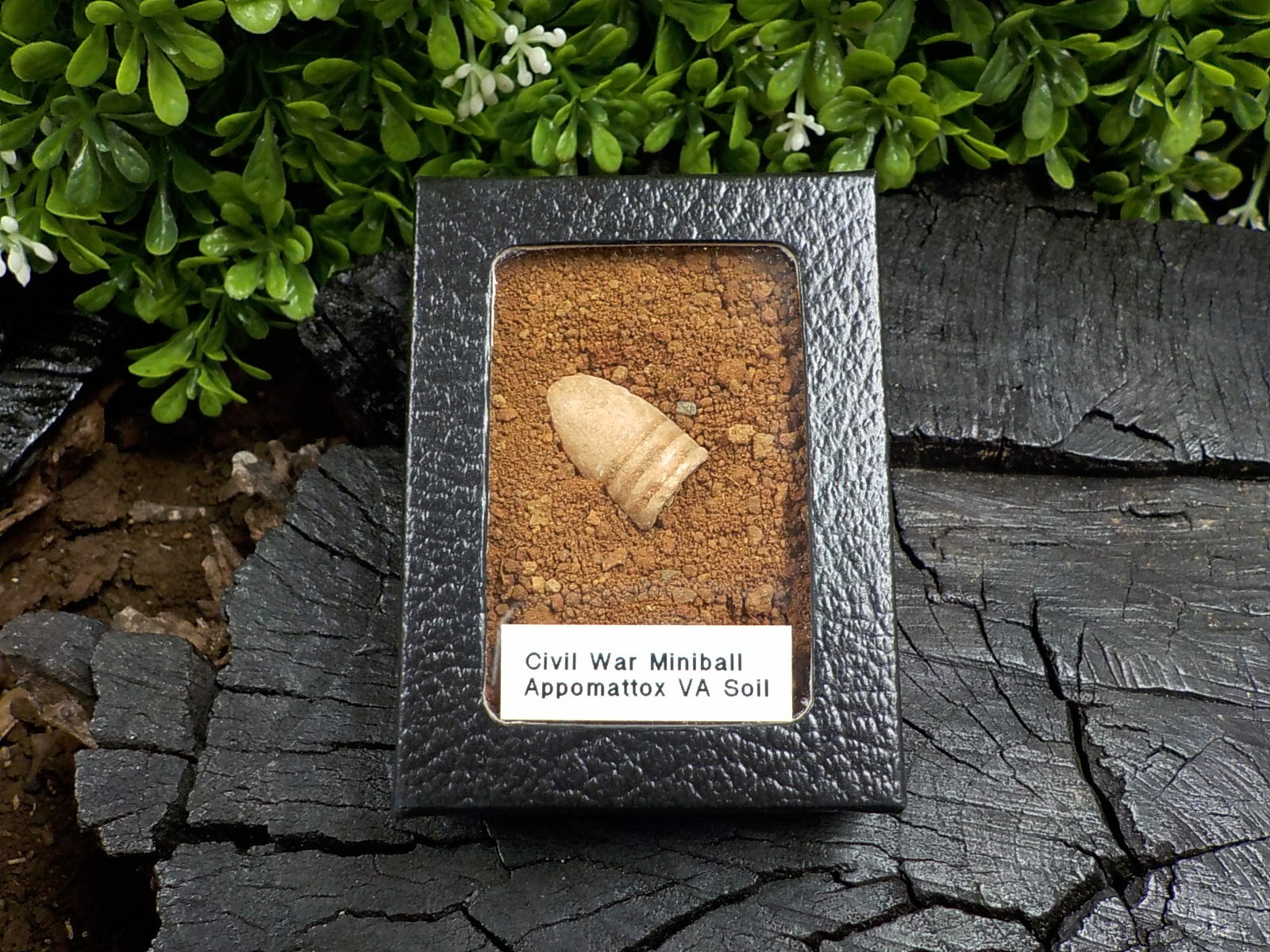 Old Rare Vintage Civil War Miniball in Appomattox Virginia Confederate Camp Soil