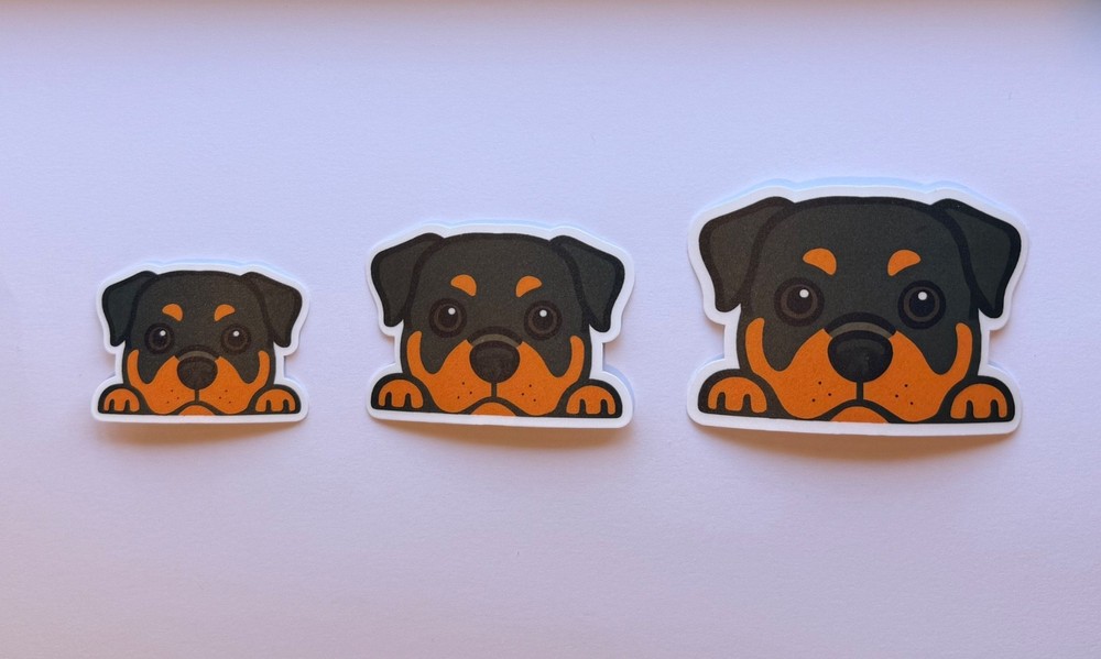Rottweiler Peeking Sticker