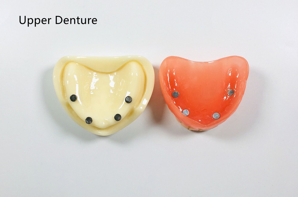 Dental Full Denture Model Magnetic Attachment Mandibular Upper/Lower Study