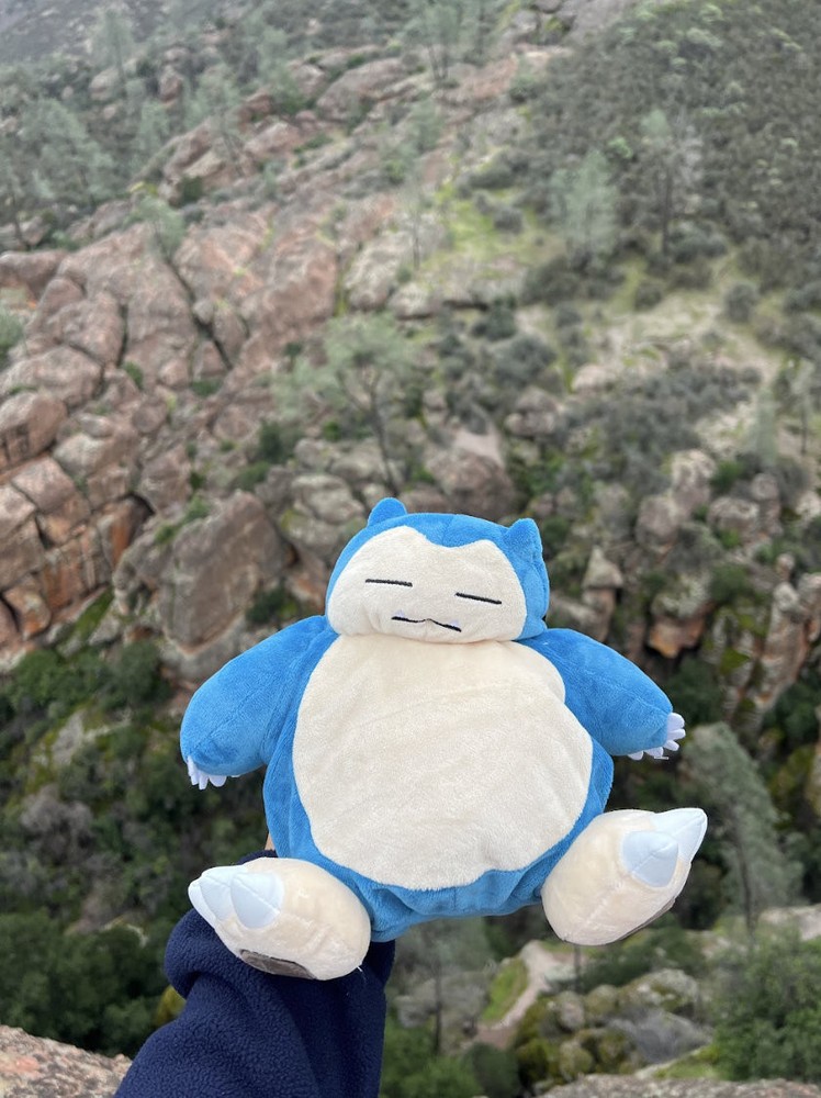 Snorlax Chalk Bag