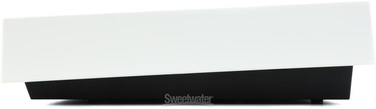 Roland GO:KEYS 5 Keyboard - White