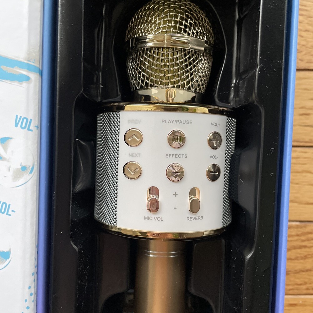 i joy Mic Queen wireless karaoke microphone and Bluetooth speaker