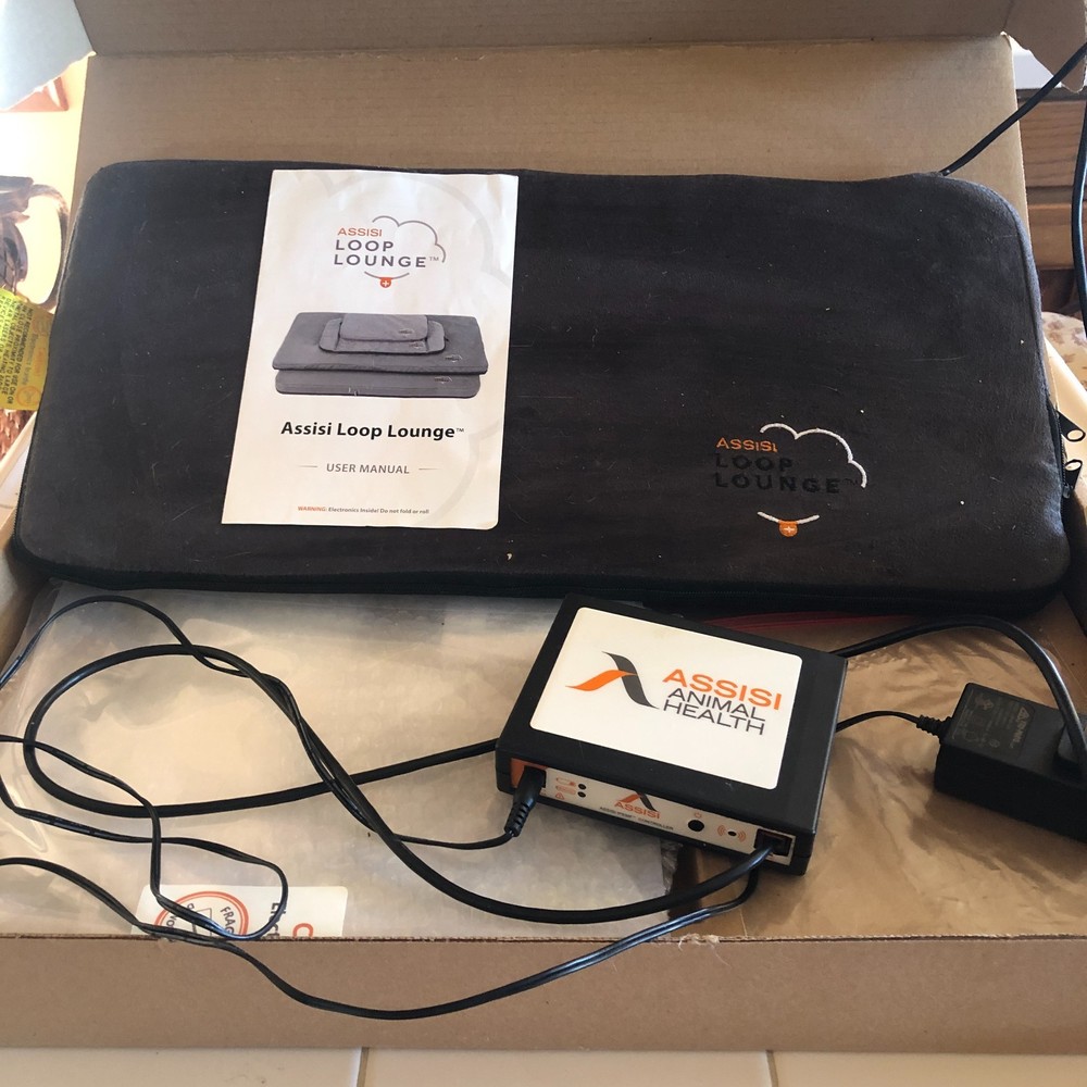 Assisi Loop Lounge Small Therapy Bed Complete System Pad 21"x10.5"