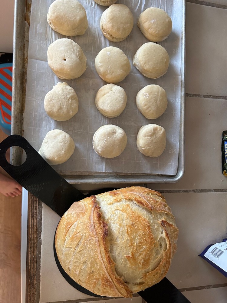 Dehydrated Sourdough Starter