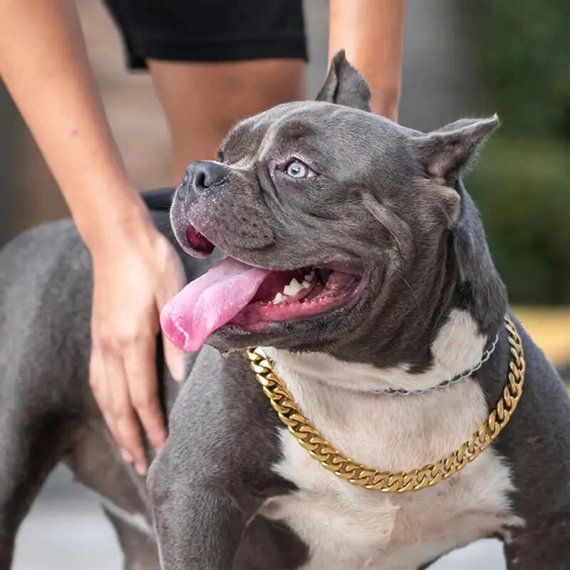 Pet Dog Cat Collar Gold Plated 10mm 16" ~ 24" Miami Cuban Chain Fashion Necklace