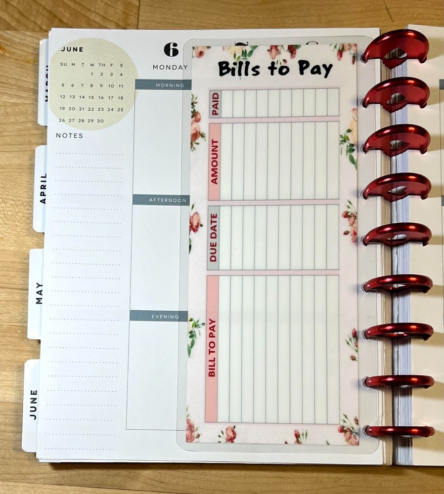 (SHORT) Bills to Pay Two Sided Dashboard for use with ClassicHappy Planner~