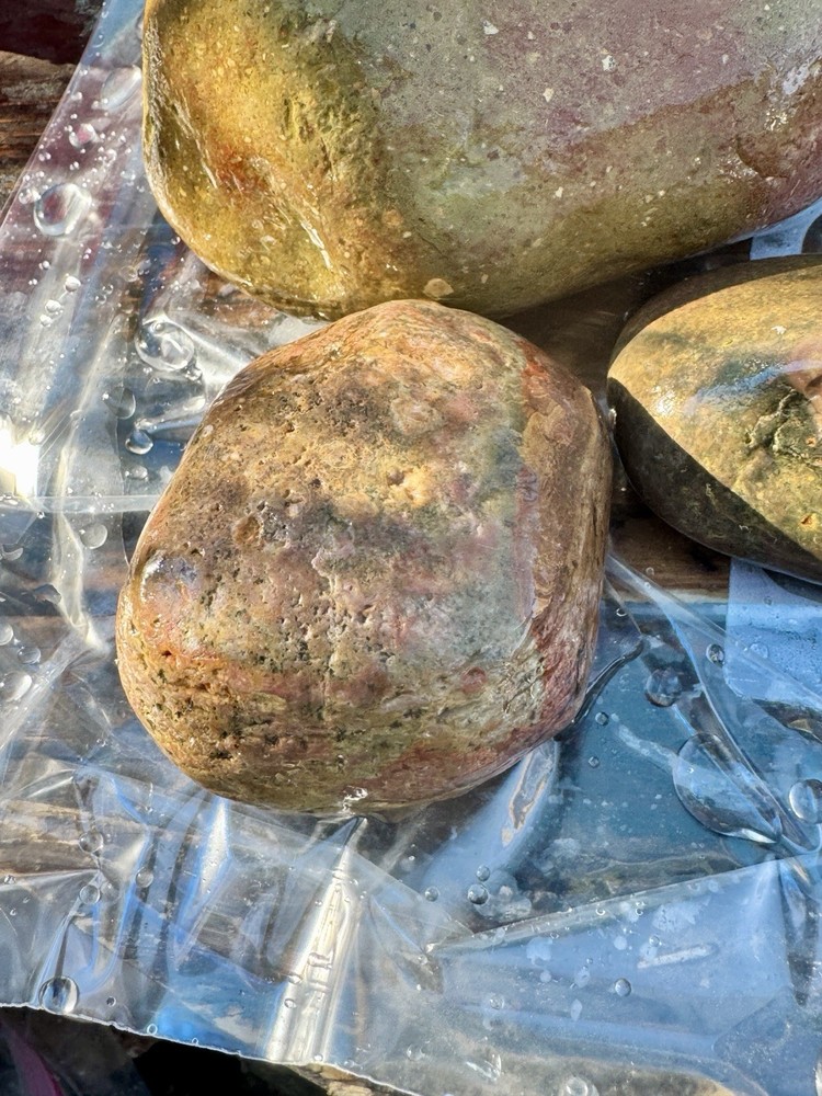 jasper rough lbs Polychrome 7 Lbs