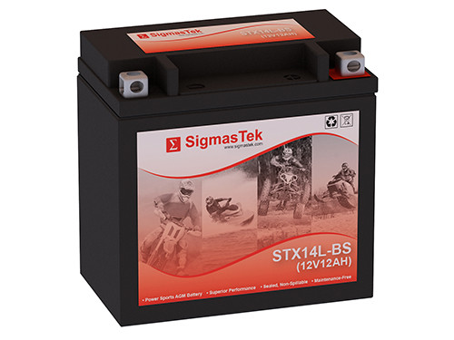Yuasa YTX14L-BS Battery (Replacement)