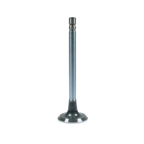 BR81021 Exhaust Valve