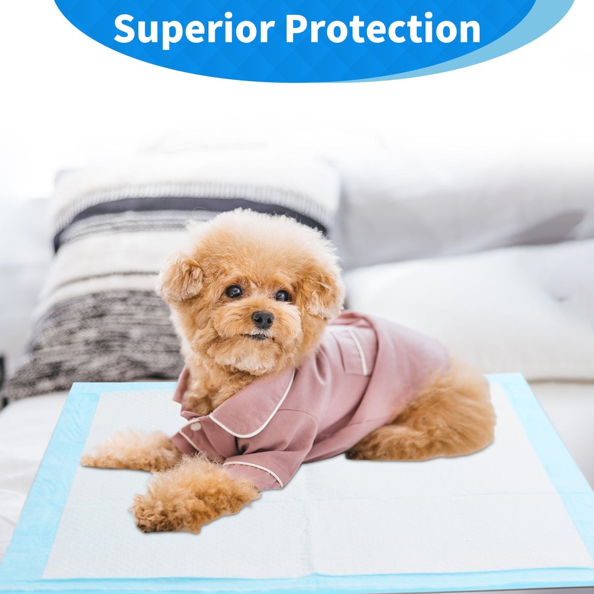 320 Pack Ultra Absorbent Small Pee Pads 22"x22" Pet Underpads Puppy Dog Training