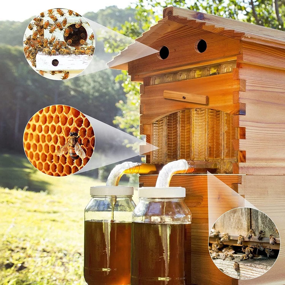 Complete Bee Hives Starter Kit 7 Auto Seep Frames + Beekeeping Supplies Bee Box