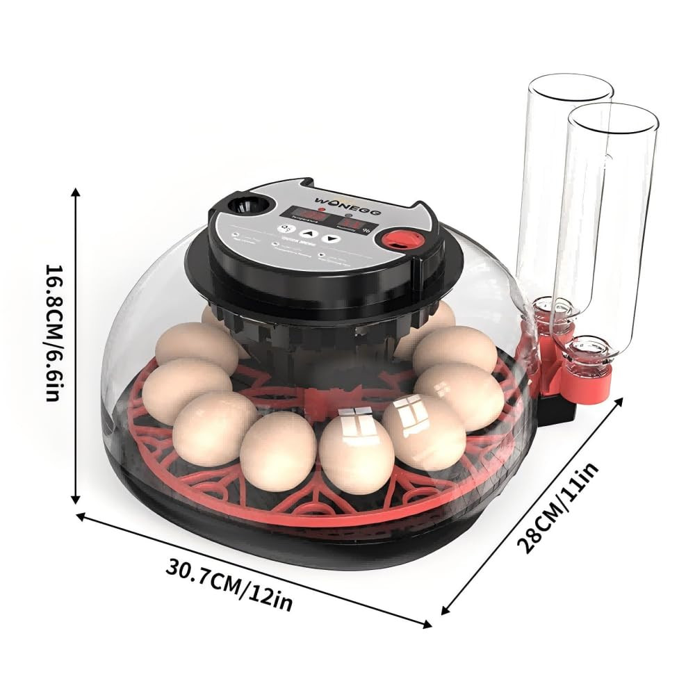 Incubators for Hatching Eggs，12 Egg Incubator,Egg Incubator with Automatic Egg T