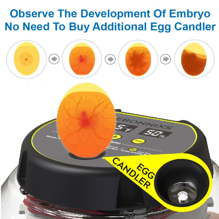 12 Egg Incubator with Humidity Display, Egg Candler, Automatic Egg Turner