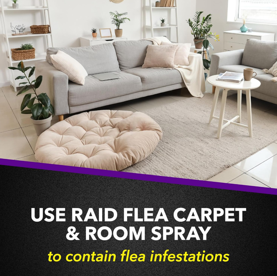 Raid Flea Killer Plus Carpet & Room Spray, Bug Spray Kills Fleas & Flea Eggs, 16