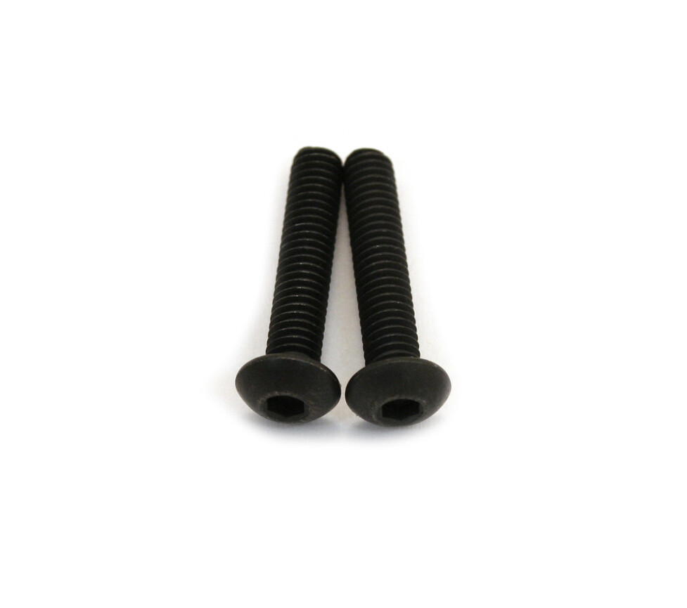GS-390110 (2) Floyd Rose Locking Nut Mounting Screw Set