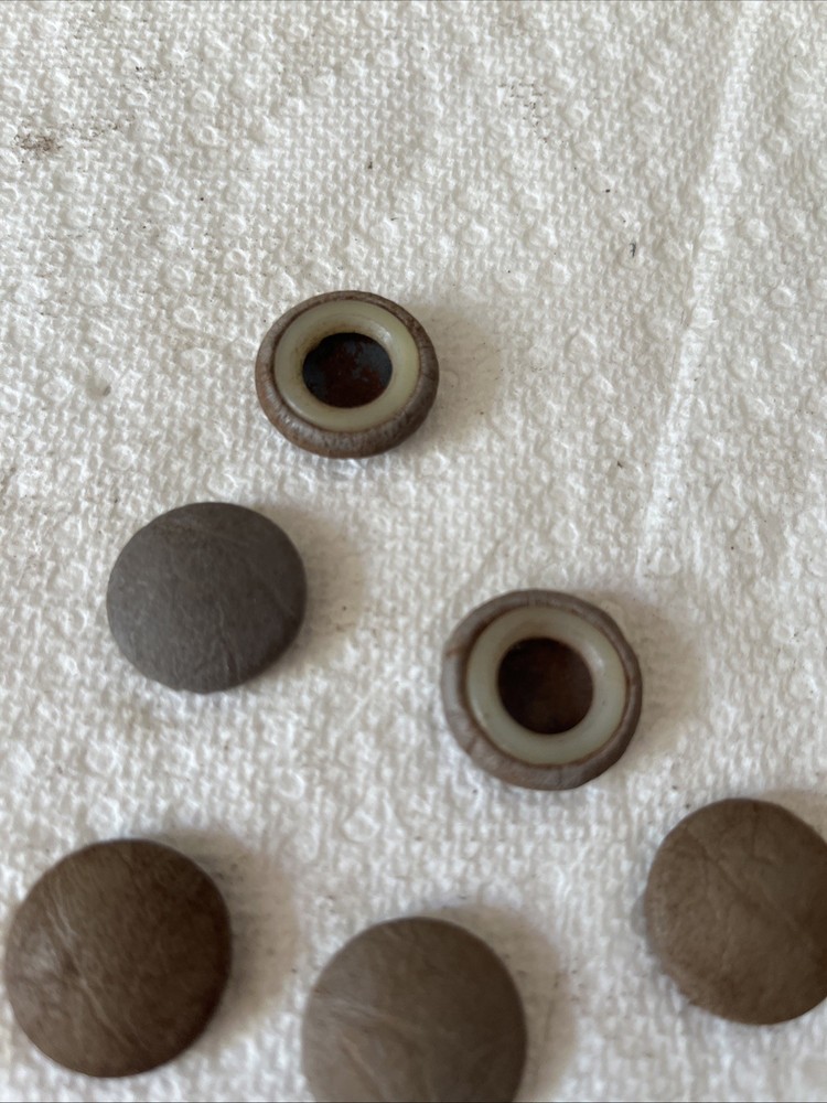 Peterbilt Interior Button Cover Used Qty 11 A97