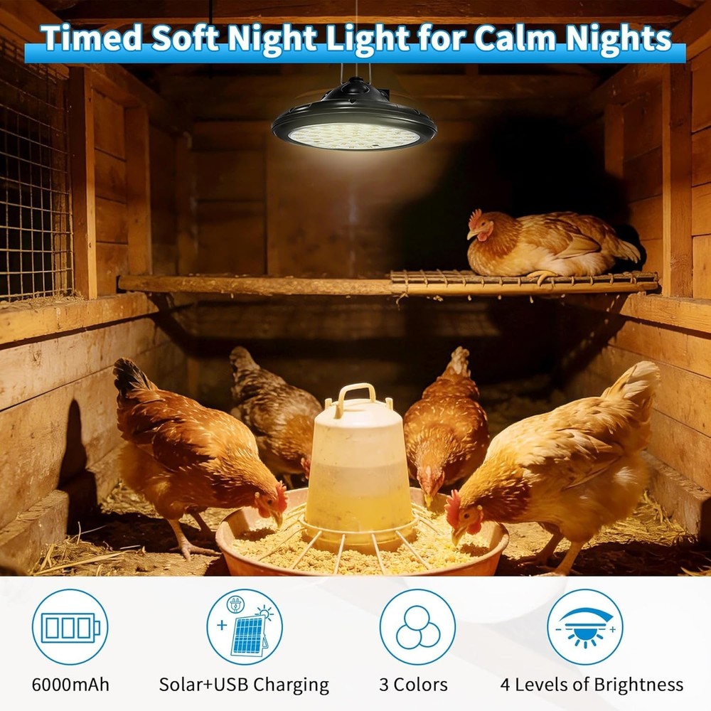 Extra Large Automatic Chicken Coop Door Solar Powered with Timer Light
