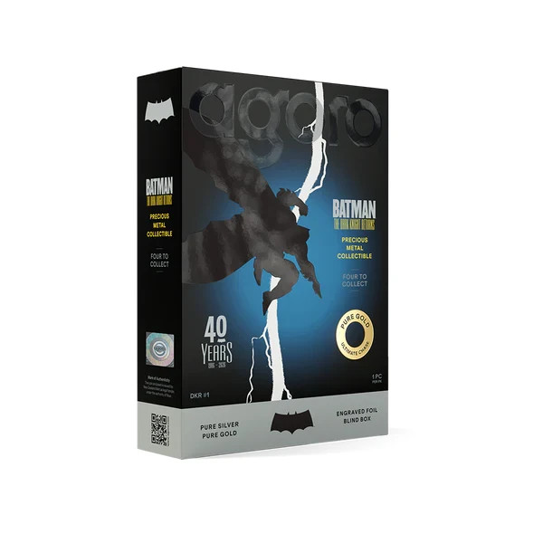 Batman: The Dark Knight Returns™ Blind Box (Single)