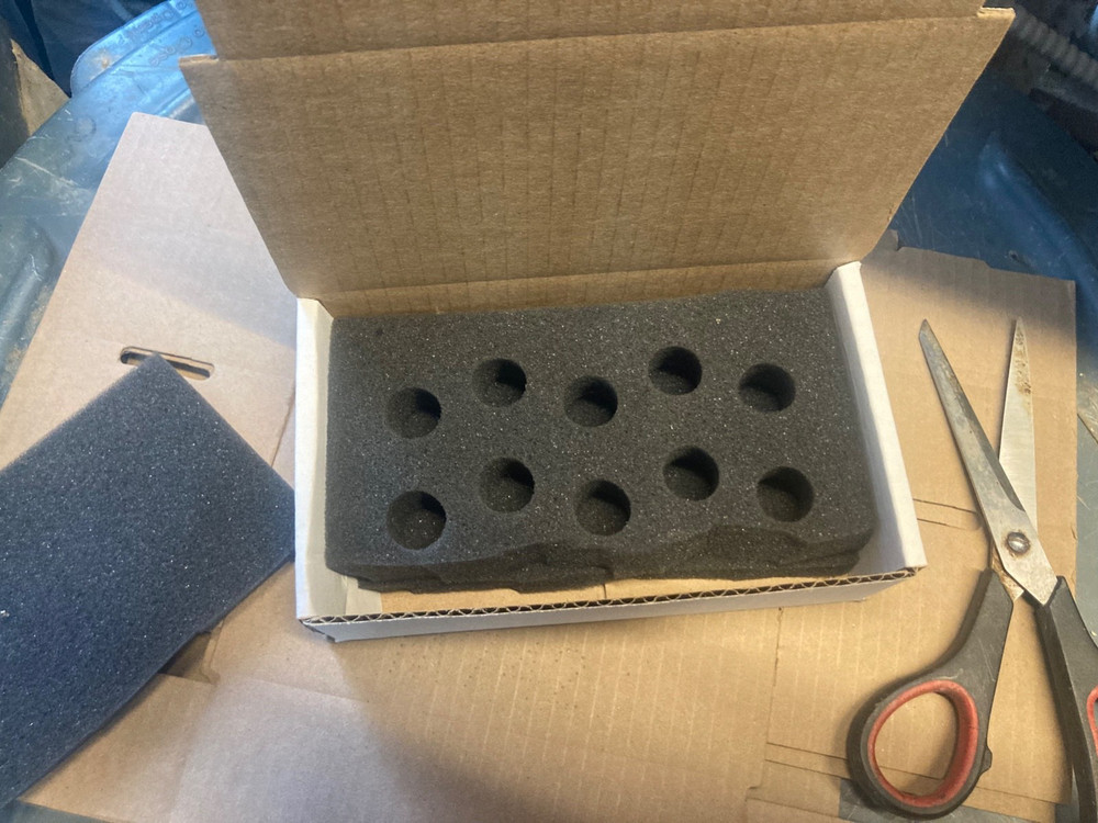 20 BLue Face Only BUTTON QUAIL EGGS These ship USPS PRIORITY READ ALL