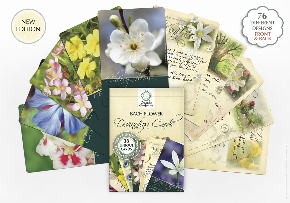 Bach Flower Divination Cards Pack 38 Beautiful illustrations, proverbs, quotes