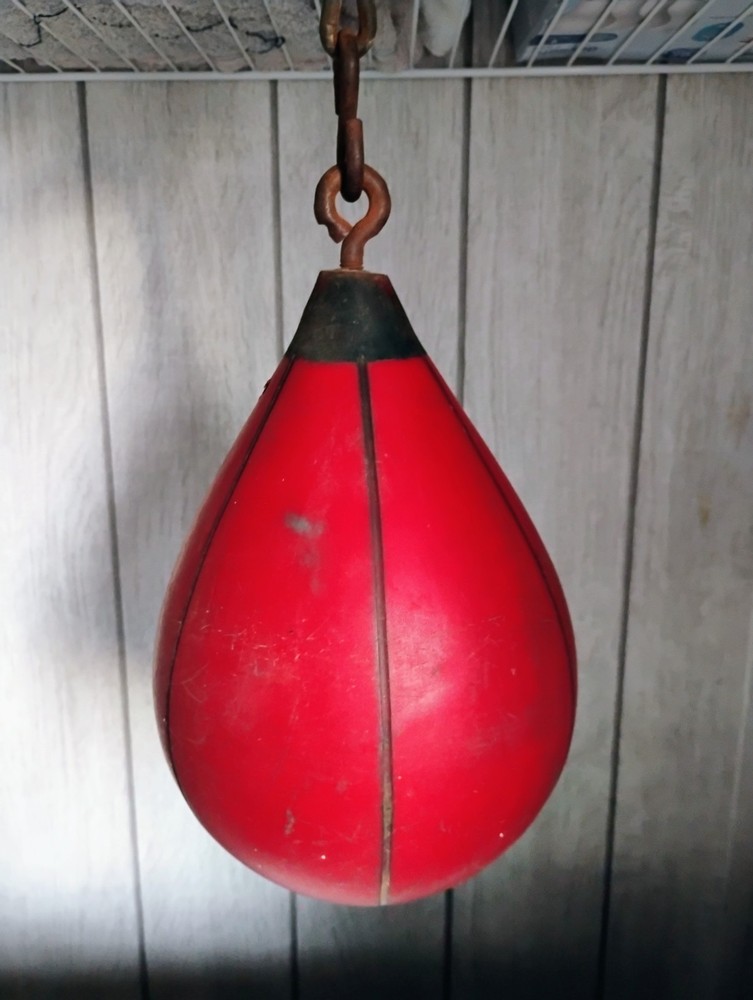boxing Speed bag With Wall Attachment