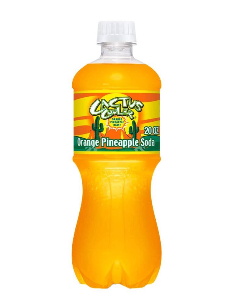 Cactus Cooler 20 oz Case