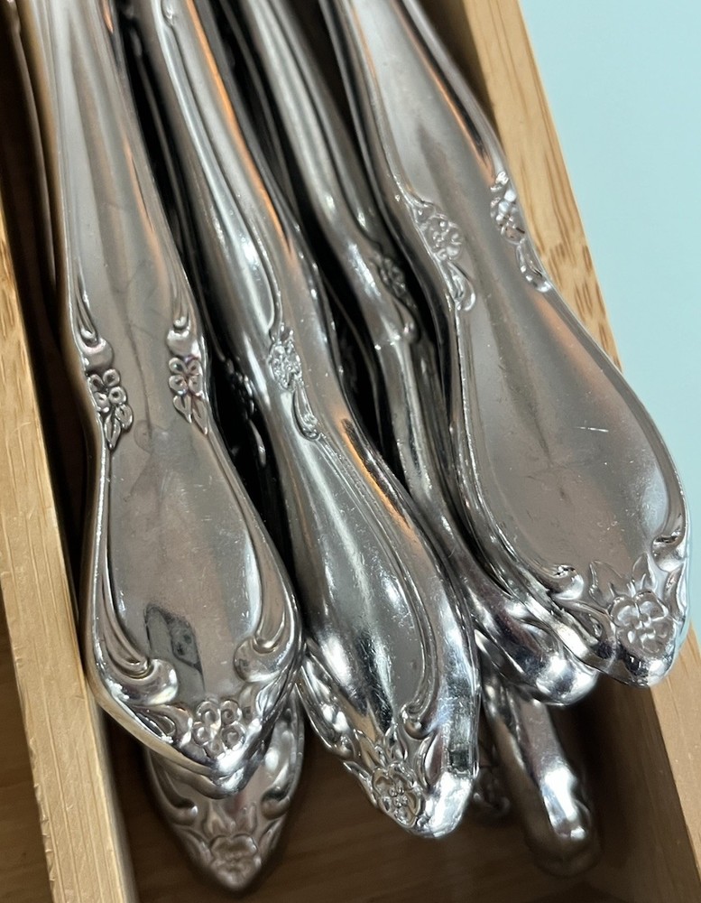 Oneida Community Chatelaine 49 piece Stainless Flatware Set *READ*