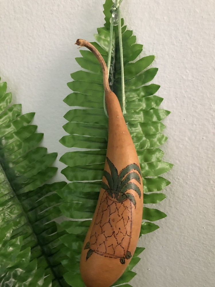 Fresh Pineapple Ornament Gourd Garden Collection