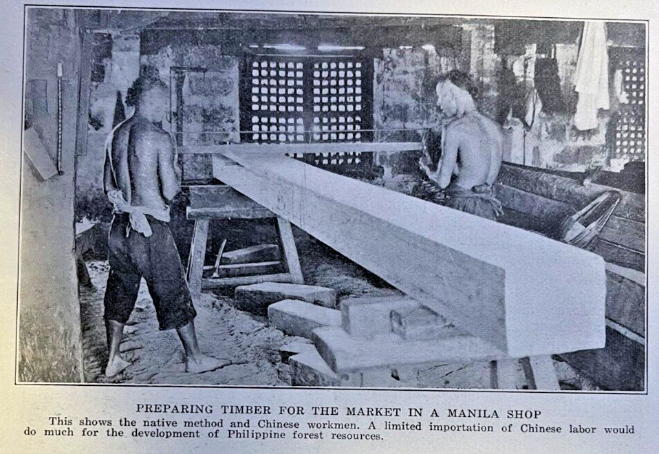 1913 Philippine Forests illustrated