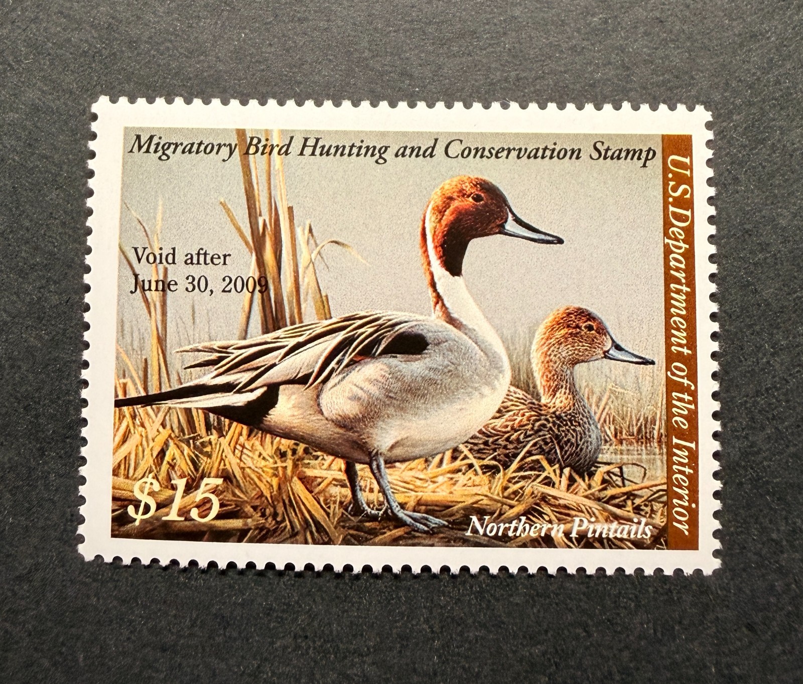 WTDstamps - #RW75 2008 - US Federal Duck Stamp - Mint OG NH