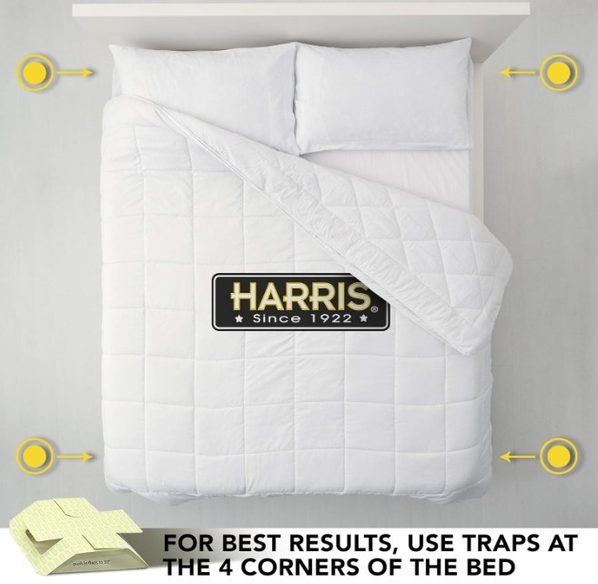 Harris Bed Bug Early Detection Glue Traps (4/Pack)