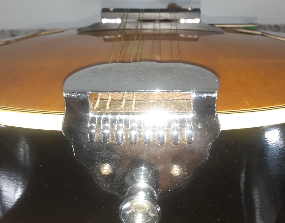 Avila A6 Mandolin with Gig Bag