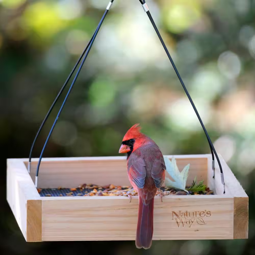 Cedar-Tray Bird Feeder-Single PACK