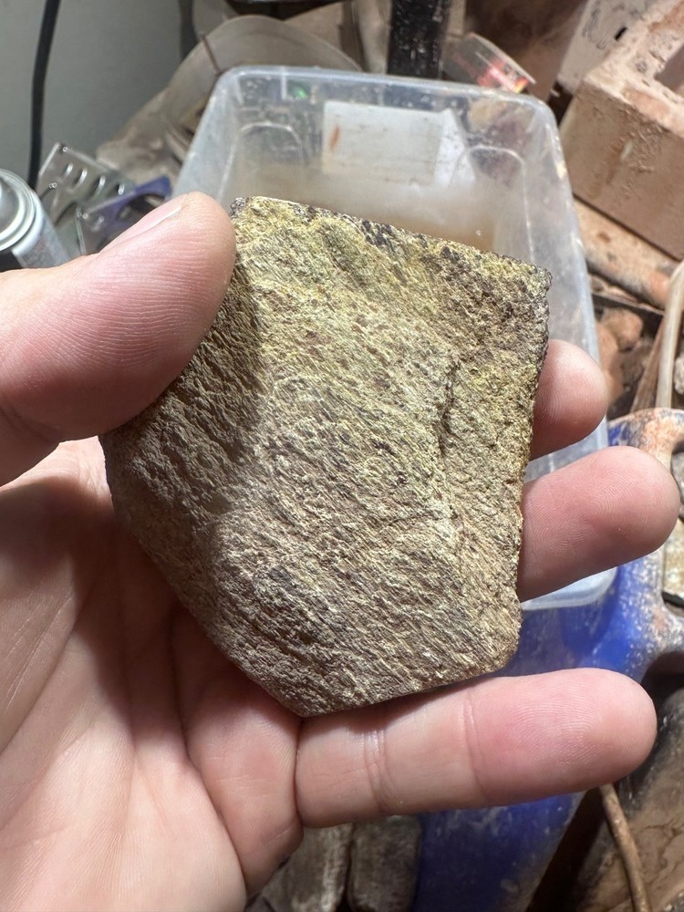 Dinosaur bone rough polished specimen