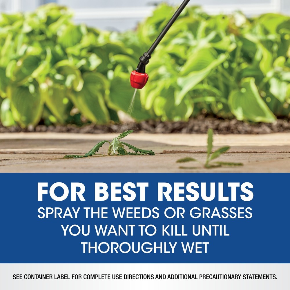 Roundup Weed & Grass Killer4 Concentrate, 1 gal.