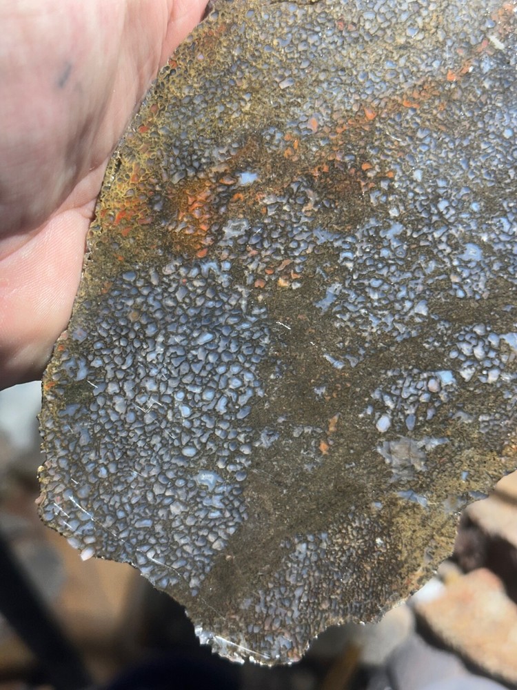 Dinosaur bone rough **hxtled large slab.