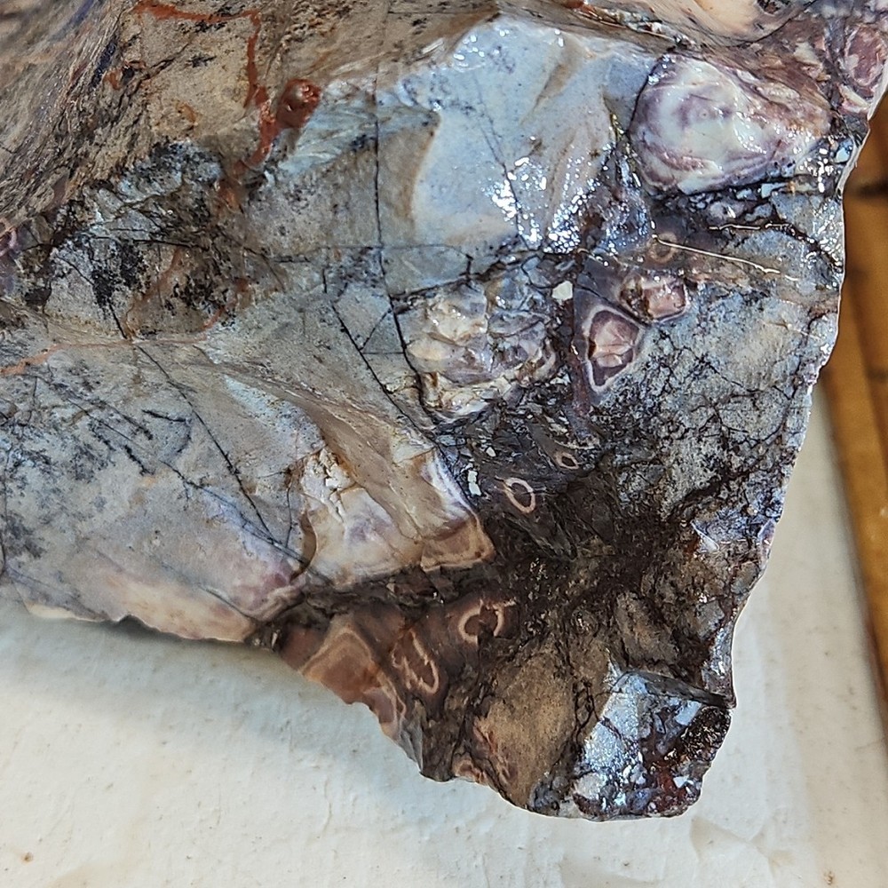 Porcelain or Sci-Fi jasper rough, beautiful multi color and pattern 5LBS 0.0OZ.