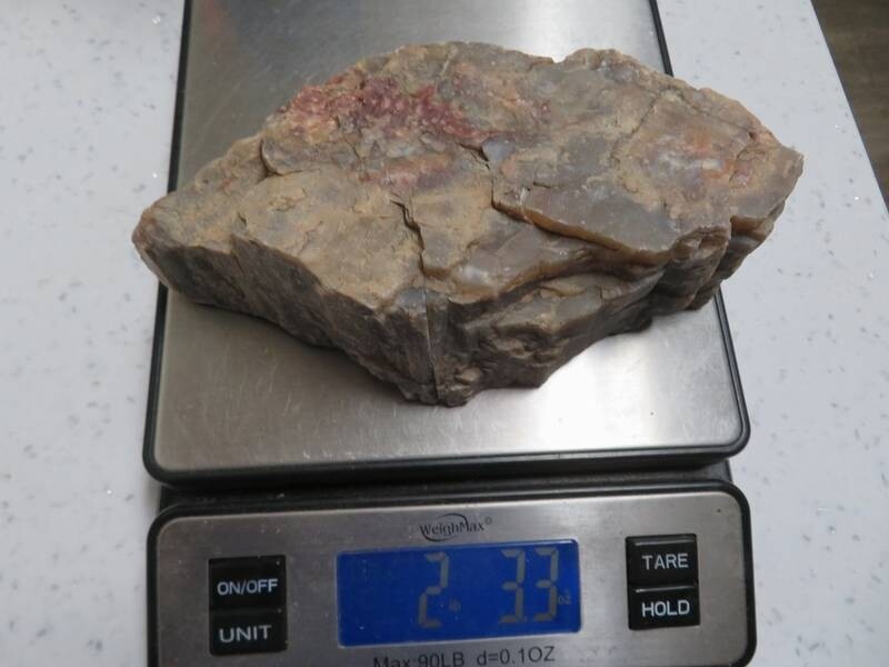 Petrified Wood 2 lbs & 3 ozs