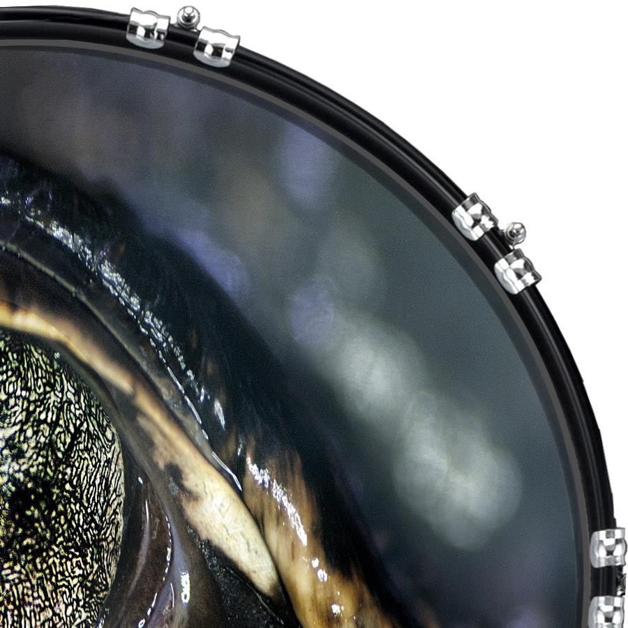 20" Custom Bass Kick Drum Front Head Graphical Eye Crocodile 2