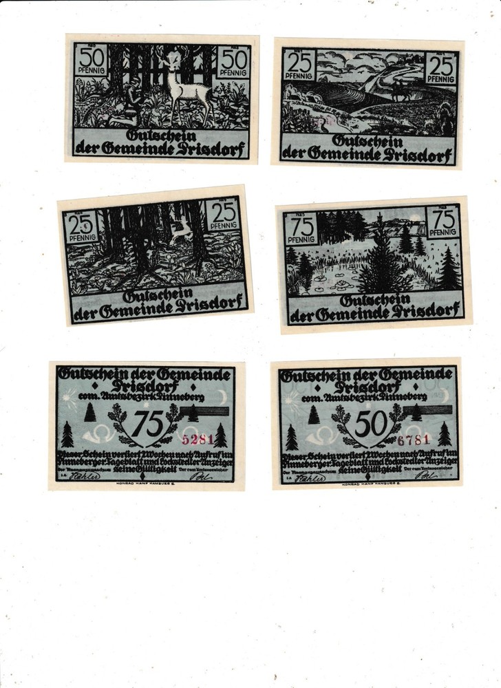 PRISDORF 6 NOTES