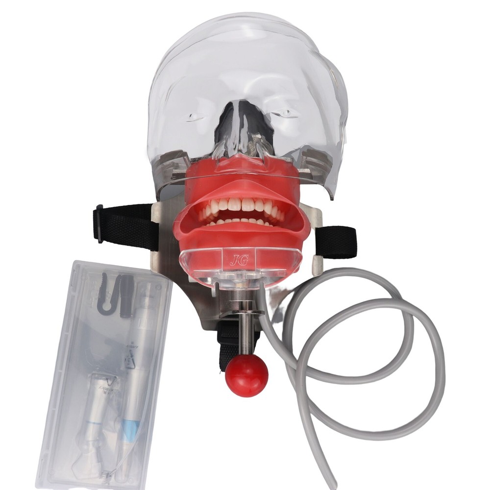 Dental Simulator Mannequin Head Teeth Model Teaching Practicing Head Mold desk