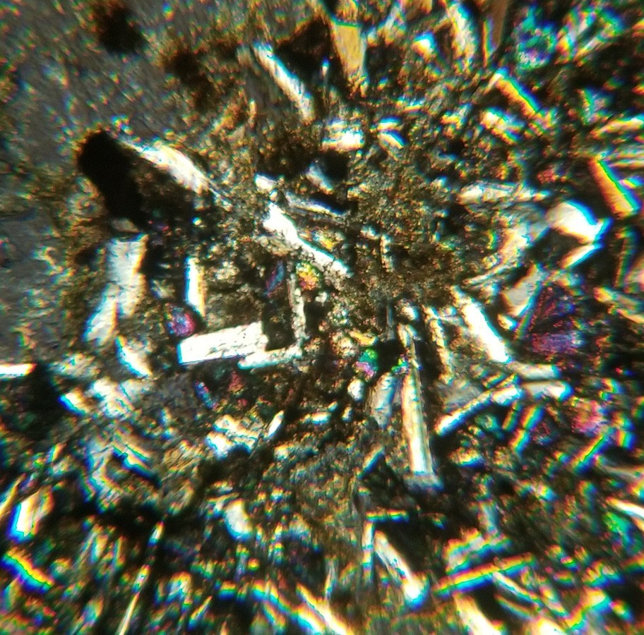 Thin-section Mount from DSDP Hole 279A Petrographic Microscope Slide 279A-13-2