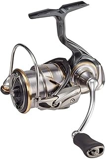NEW Daiwa ルビアス Japan