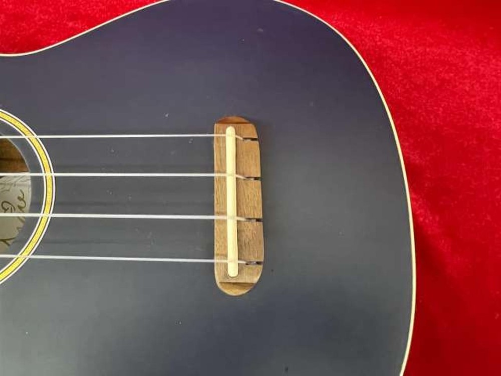 FENDER GRACE VANDERWAAL MOONLIGHT Classical Guitar