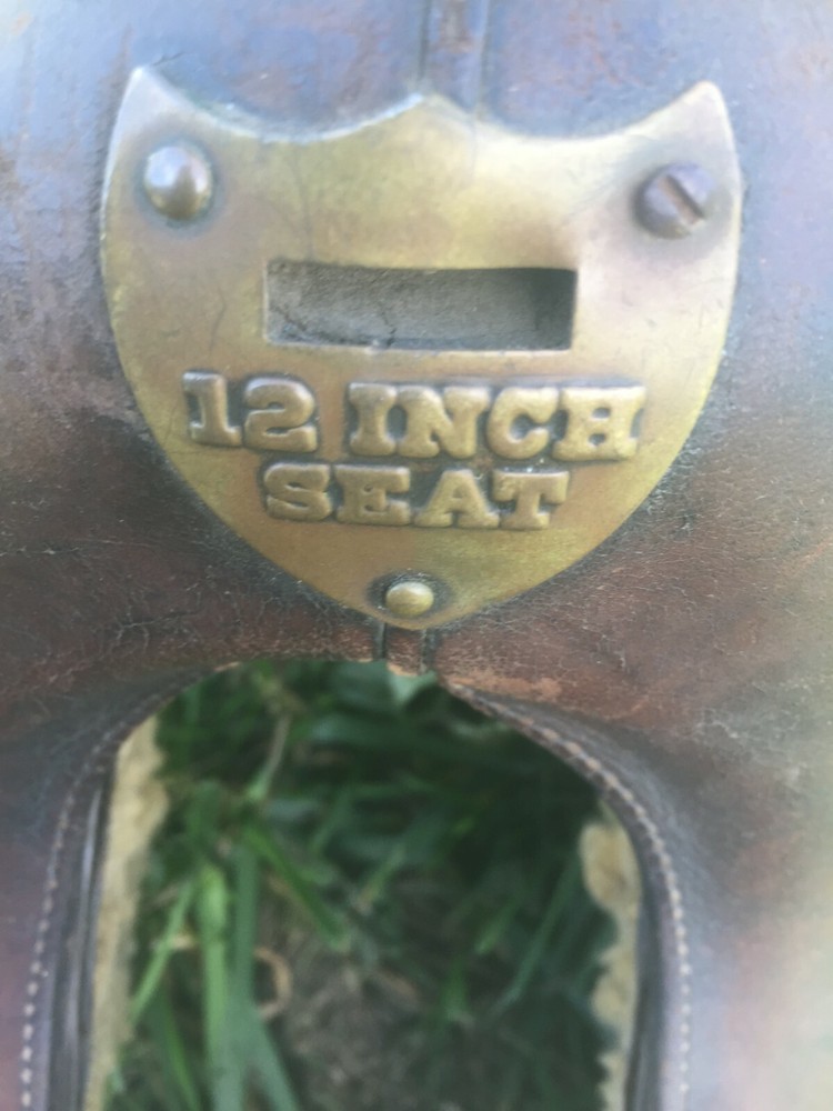 mcclellan cavalry saddle 12 In Seat